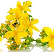St. John's Wort to stimulate potency.